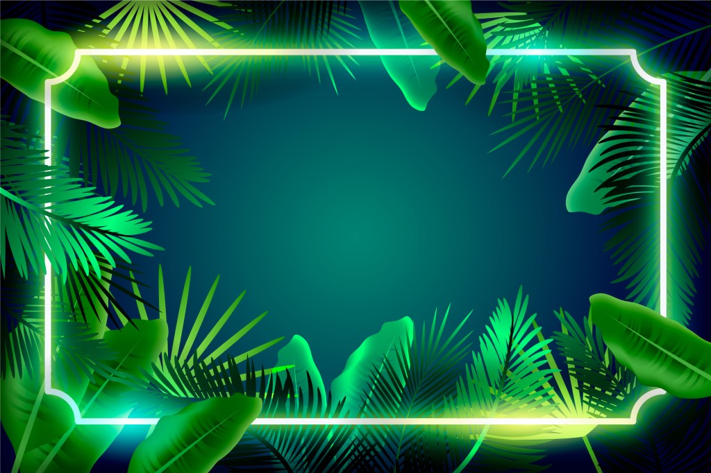 Navigating the Digital Jungle: A Marketer’s Guide to GDPR and Global Privacy&nbsp;Policies